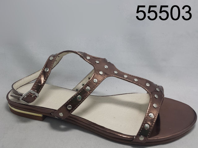 55503 BROWN